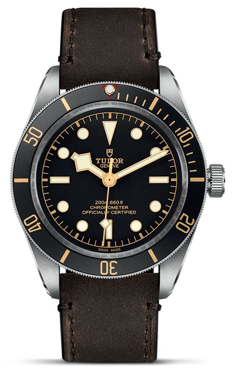 tudor black bay dial|tudor black bay 58 price.